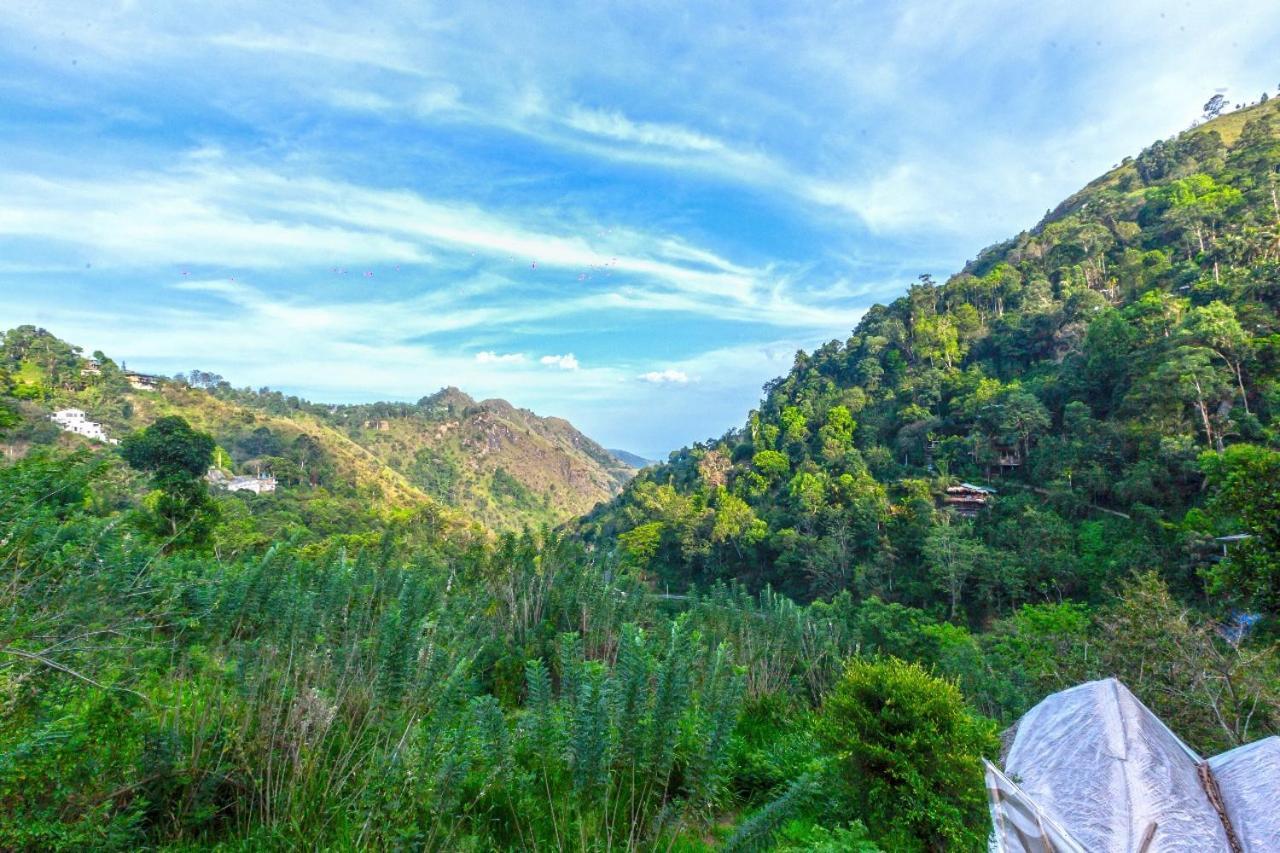 Green Vista 埃拉 外观 照片